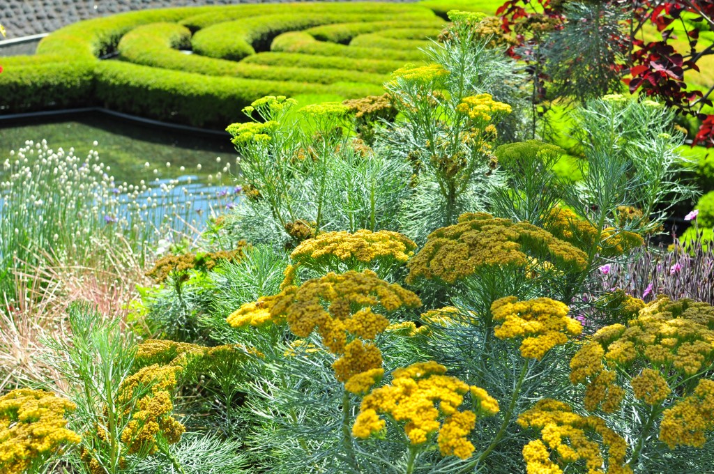 GARDENS AT THE GETTY MUSEUM