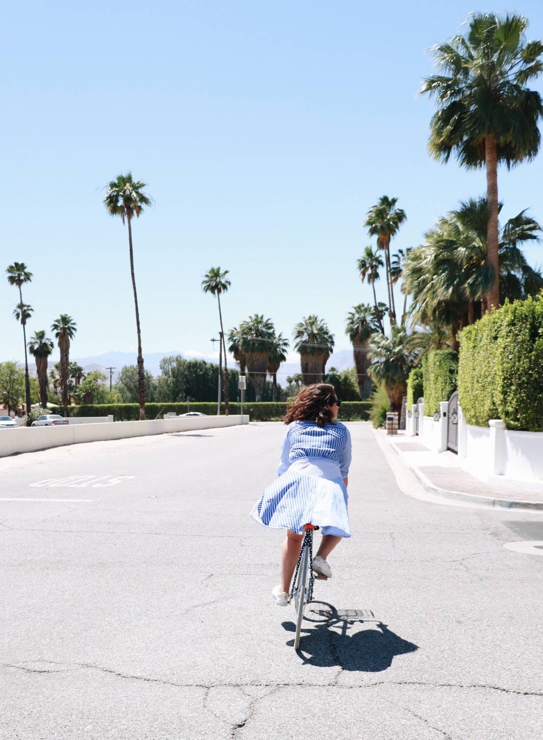 palm springs guide